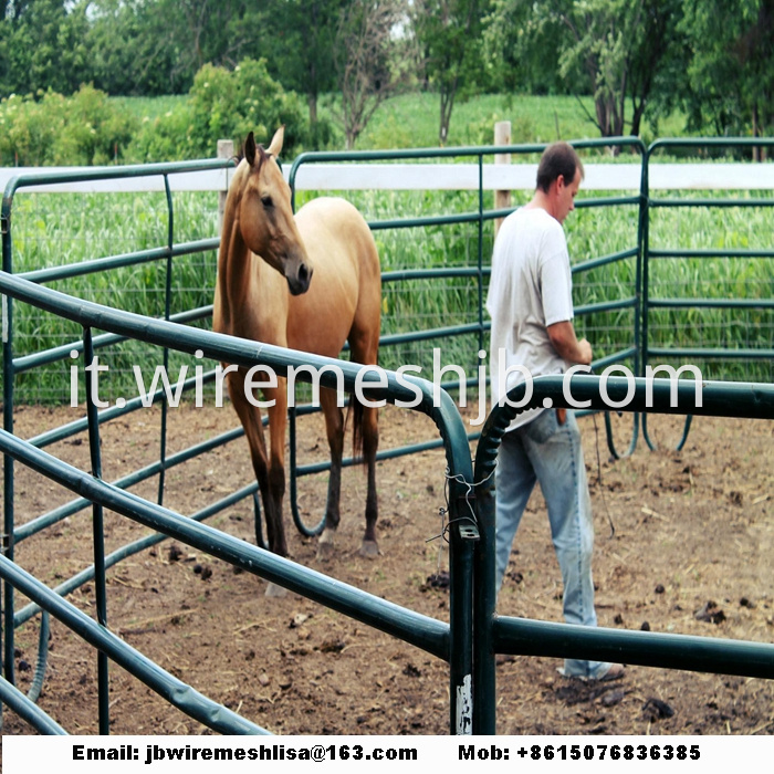 Powder Coated And Galvanized Horse Fence Panel